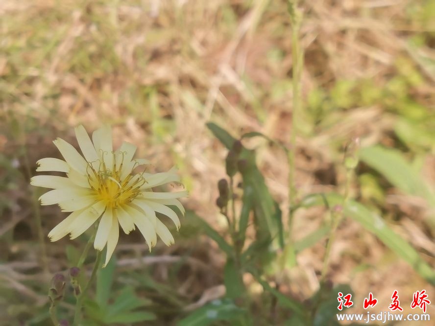 nEO_IMG_9.webp.jpg